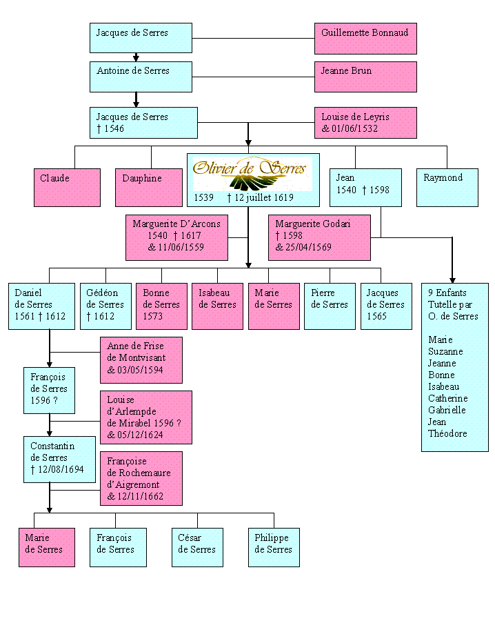 genealogie1